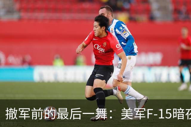 撤军前的最后一舞：美军F-15暗夜追击但无功而返