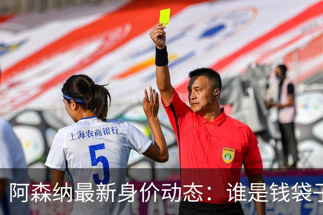 阿森纳最新身价动态：谁是钱袋子，谁是黑洞？